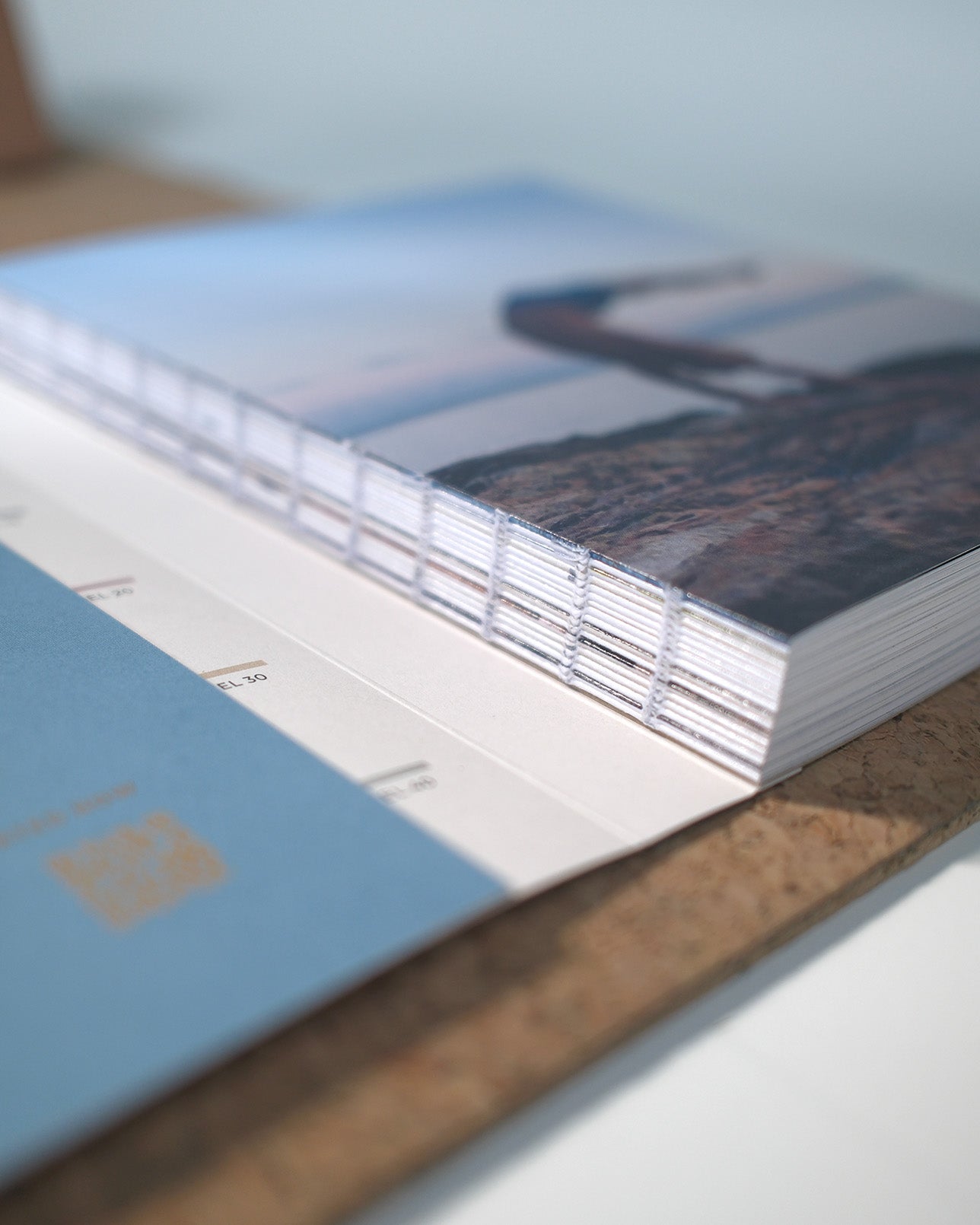 Handstand From A-Z || Book About Handstand & Bodyweight Strength by Sondre Berg