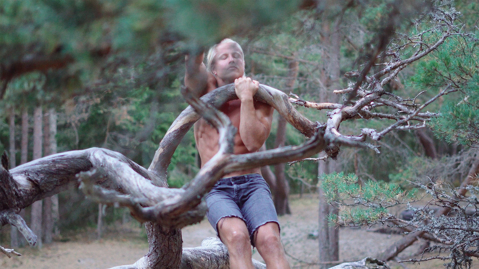 Sondre's Christmas Pics