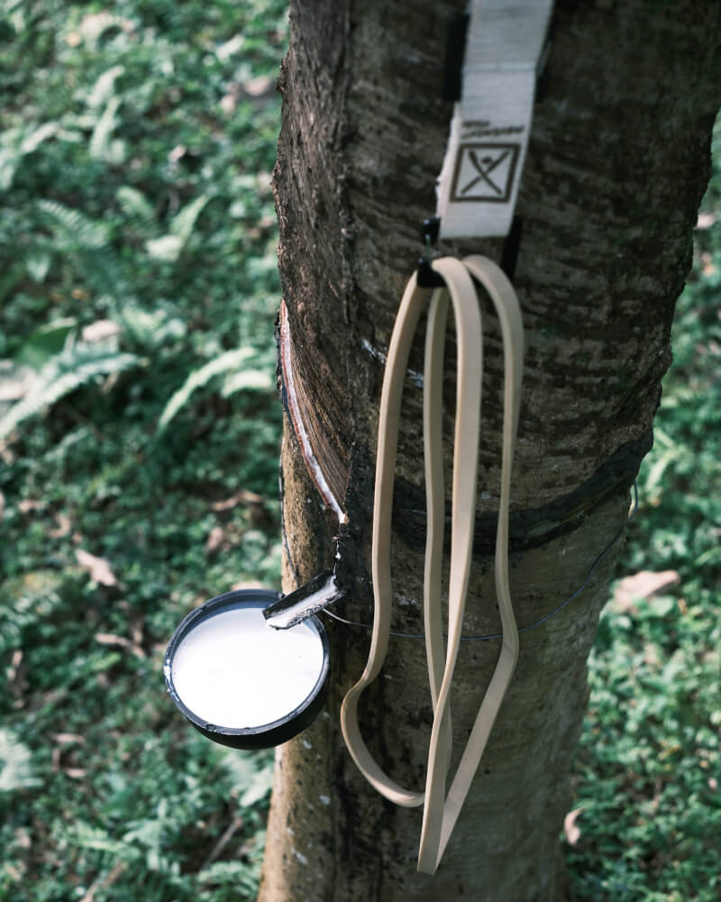 Natural Rubber Bands - Durable and strong resistance bands
