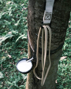 Natural Rubber Bands - Durable and strong