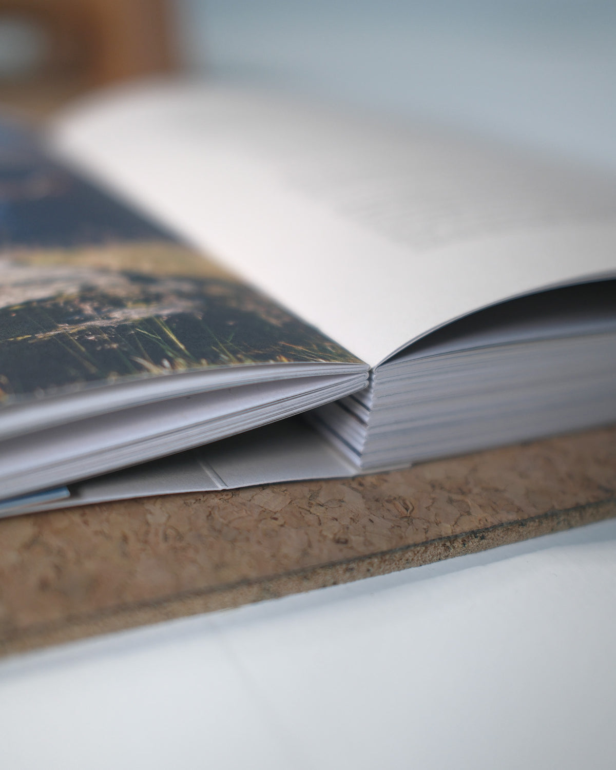 Handstand Training Bundle